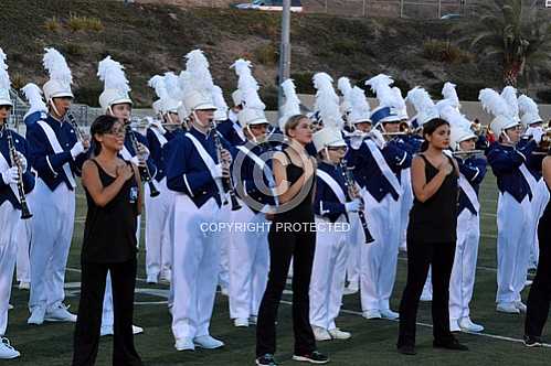 NHS Blue Diamond Brigade 9 12 2014