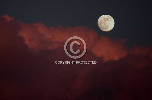 The Moon
