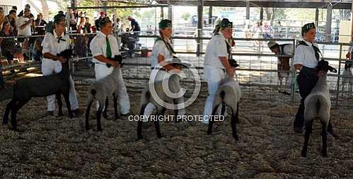 Norco Fair 2014 -- Saturday 8 30 2014