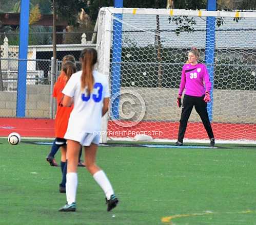 NHS JV vs Roosevelt JV -- 2 9 2017