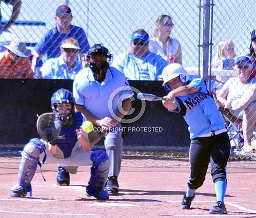NHS Cougars vs Riverside's North Huskies