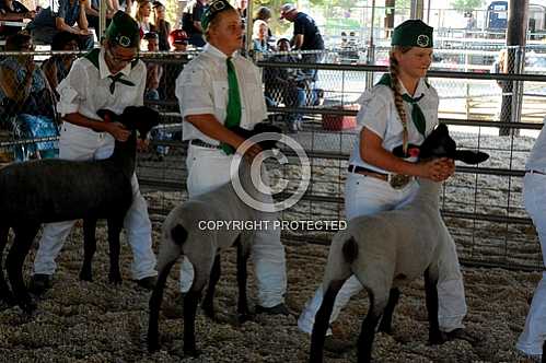 Norco Fair 2014 -- Saturday 8 30 2014