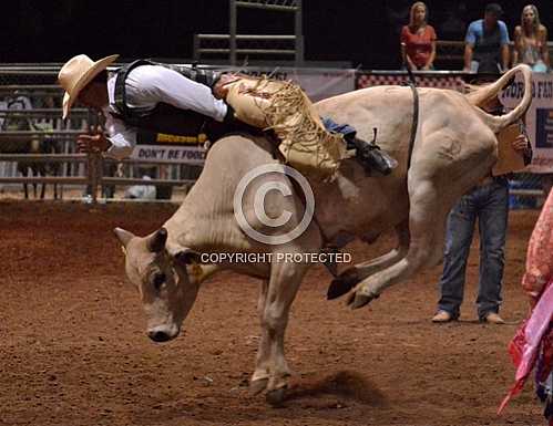 Norco Fair 2014 -- Sunday 8 31 2014