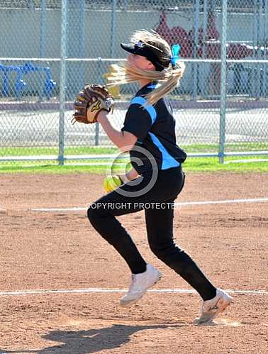 NHS Freshmen at Diamond Ranch -- 3 16 2017