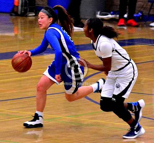 NHS vs Fontana Summit Skyhawks 12 26 2015
