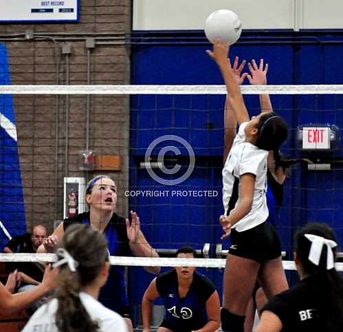 NHS vs Santiago Sharks