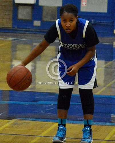 NHS vs Bishop Amat 12 27 2014