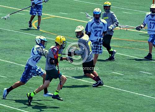 NHS JV vs Canyon Crest Academy 4 26 2014