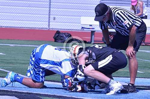 NHS vs Hart 5 3 2014