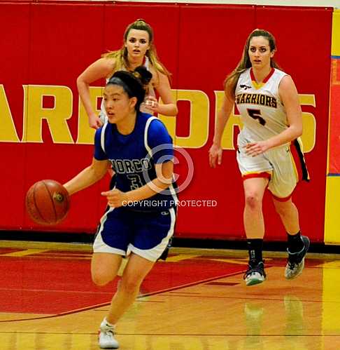 NHS at Woodbridge Warriors CIF Division 1 playoffs -- 2 16 2017