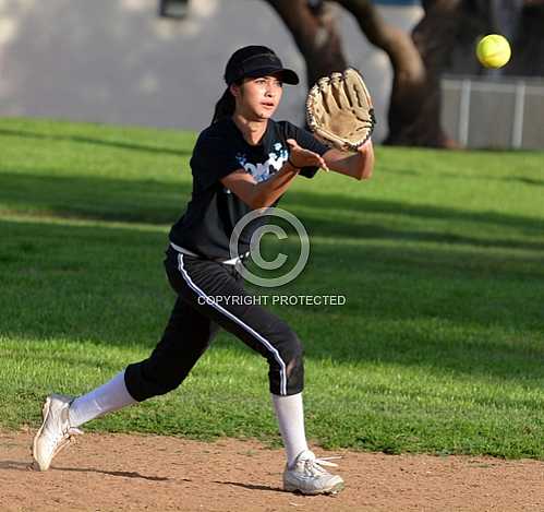 NHS vs Upland 2 13 2014