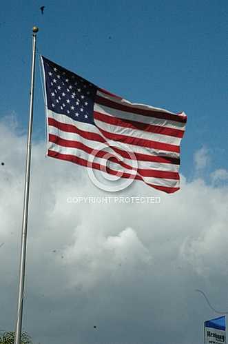 The Flag of the United States of America