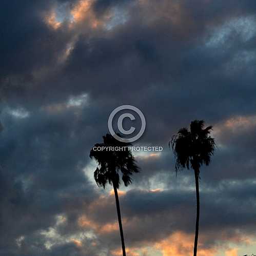 Norco October 28 2013