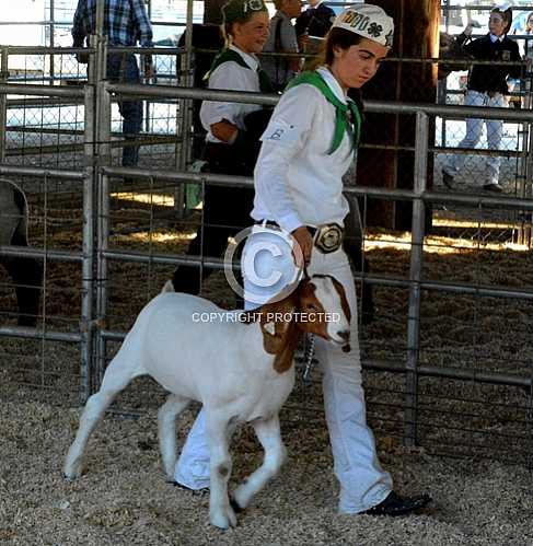 Norco Fair 2014 -- Saturday 8 30 2014