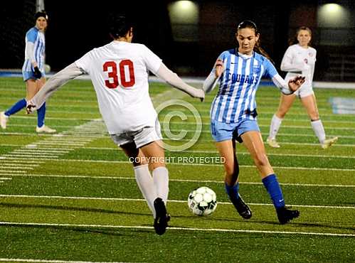 NHS vs Corona Panthers -- 1 15 2019