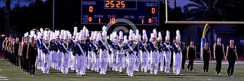 NHS Blue Diamond Brigade 9 19 2014