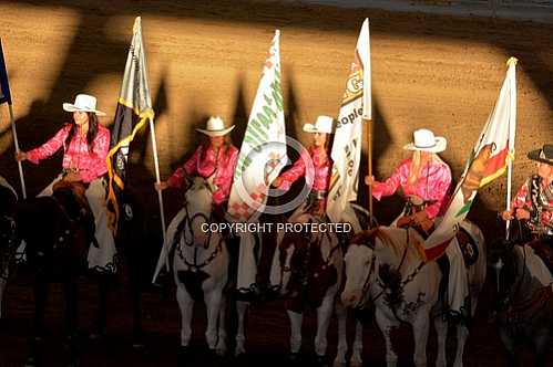 Norco Fair 2014 -- Thursday 8 28 2014