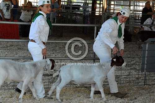 Norco Fair 2014 -- Saturday 8 30 2014