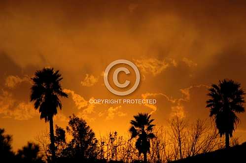 Red Sky at Night, Sailor's Delight