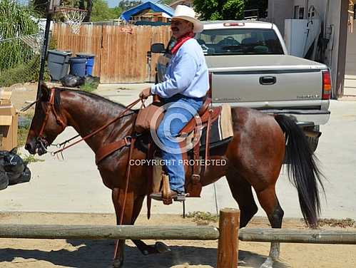 Norco 2013 Labor Day Fair Parade  9 2 2013