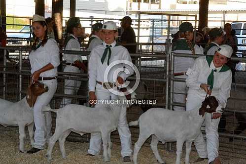 Norco Fair 2014 -- Saturday 8 30 2014