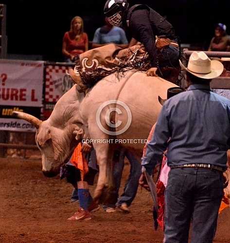 Norco Fair 2014 -- Sunday 8 31 2014