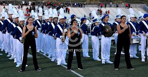 NHS Blue Diamond Brigade 9 12 2014