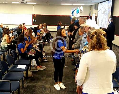 2018 Game 24: Honored at CNUSD and Angel Stadium