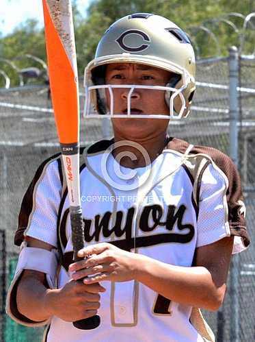 NHS vs Canyon Comanche's CIF Div 1 Semi Final 6 2 2015
