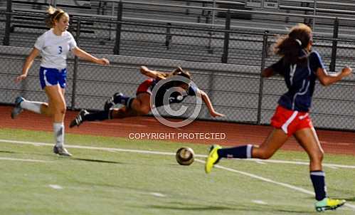 NHS vs ML King Wolves 1 24 2014