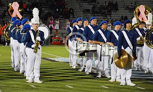 NHS Blue Diamond Brigade 10 18 2013