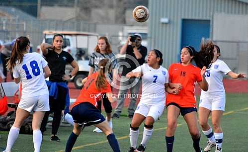 NHS JV vs Roosevelt JV -- 2 9 2017