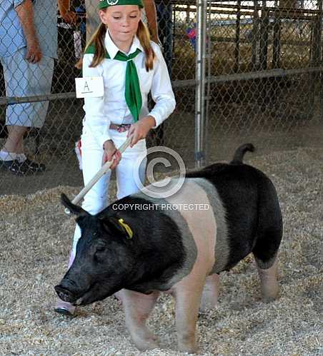 Norco Fair 2014 -- Saturday 8 30 2014