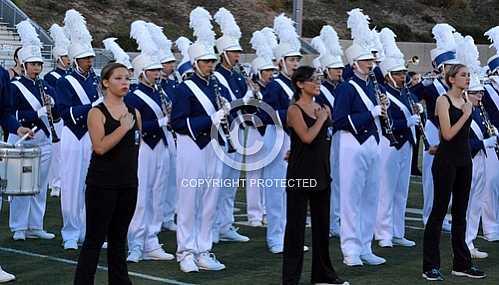 NHS Blue Diamond Brigade 9 12 2014