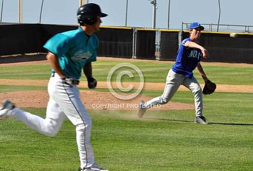 NHS Cougars vs Corona Santigo High School Sharks