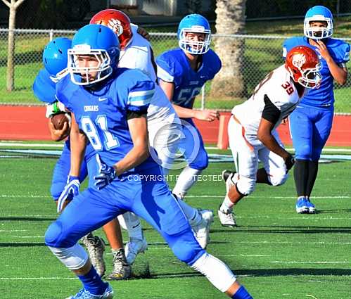 NHS JV vs Riverside Poly JV 9 22 2016