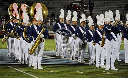 NHS Blue Diamond Brigade 10 18 2013