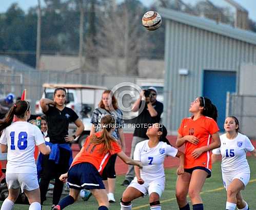 NHS JV vs Roosevelt JV -- 2 9 2017