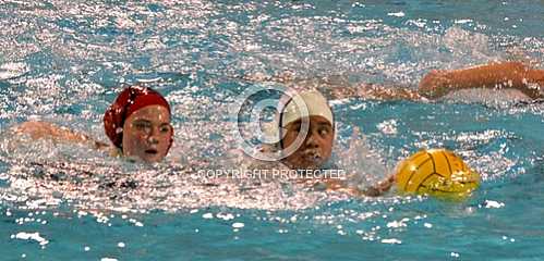 NHS vs Elsinore Tigers -- 1 19 2018