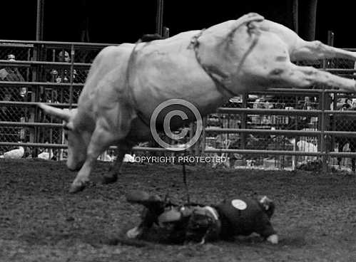 Norco Fair 2014 -- Sunday 8 31 2014